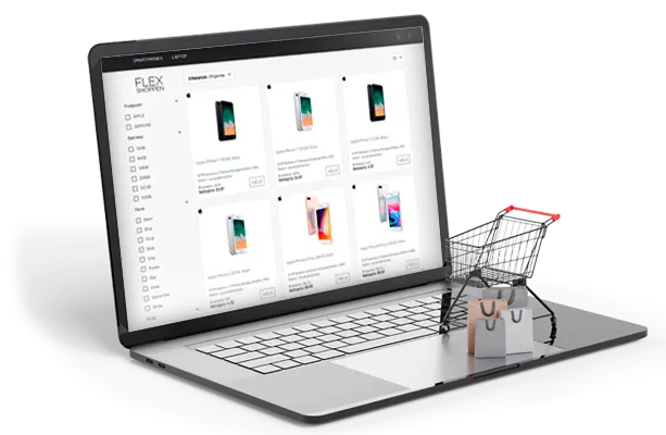 web app development services